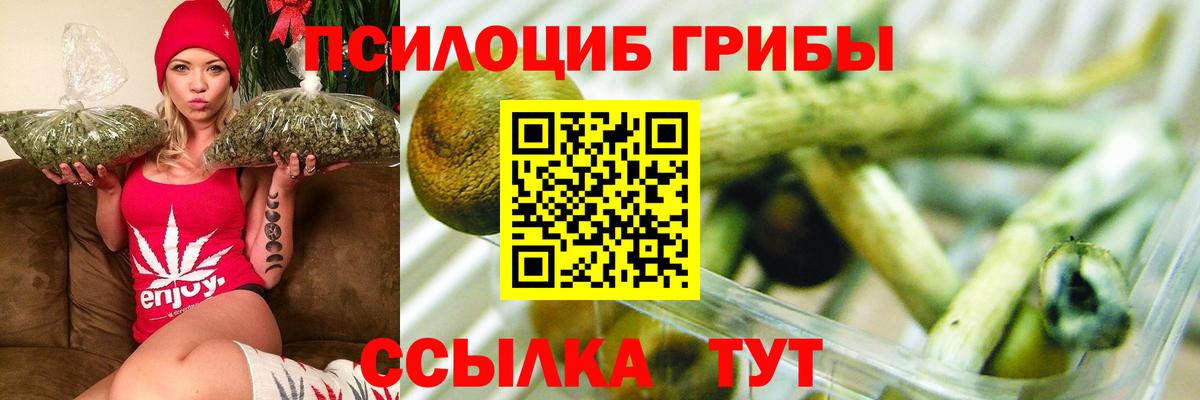 Галлюциногенные грибы MAGIC MUSHROOMS Среднеуральск